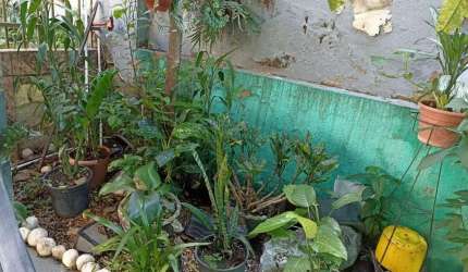 Casa à venda, 3 quartos, 4 vagas, Esplanada - Belo Horizonte/MG