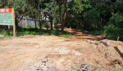 Terreno para Venda em Almirante Tamandaré, LAMENHA GRANDE