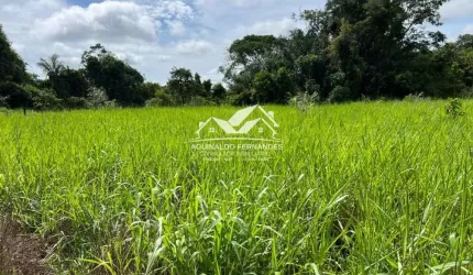 Fazenda com 116 Hectares Terra  Cultura Próxima de Cuiabá MT