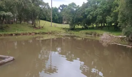 Área rural para moradia ou lazer - Campo Largo da Roseira - Venda total/parcial