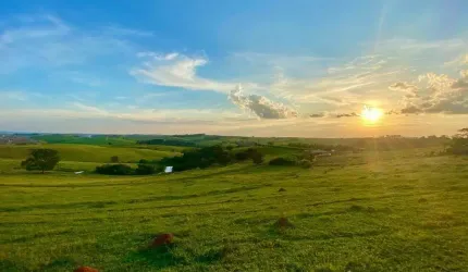 Jardim América - Cardeal - HD Invest