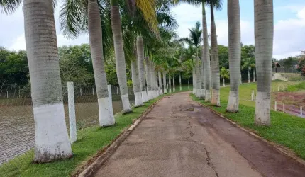 Fazenda à venda na RUA rural, 1020, Centro, Itapetininga por R$ 16.000.000