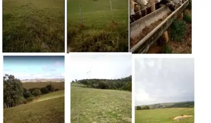 Chácara / sítio à venda na Rua Francisco Barros Leite, Centro, Salto de Pirapora por R$ 4.000.000