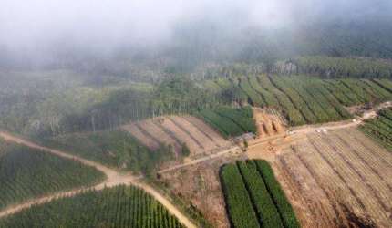 Chácara / sítio à venda na 9 km da Pista Bairro Ibaitinga, Zona Rural, São Miguel Arcanjo por R$ 2.500.000