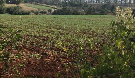 Terreno à venda na Araçoiaba da Serra, Zona Rural, Araçoiaba da Serra por R$ 5.500.000