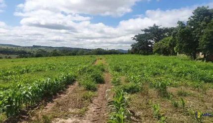 Chácara / sítio à venda na Botucatu, Zona Rural, Botucatu por R$ 3.500.000