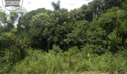 AMPLA AREA PROXIMO A FACULDADE OPET