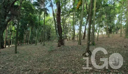 Terreno em condomínio fechado à venda na Rua Alcatrazes, Chácara Flora, São Paulo por R$ 6.150.000