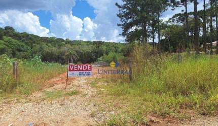 Chácara à venda, 4000 m² por R$ 235.000,00 - São Dimas - Colombo/PR