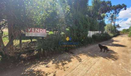 Terreno à venda, 300 m² por R$ 145.000 - São Gabriel - Colombo/PR
