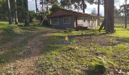 Chácara com 3 dormitórios à venda, 1000 m² por R$ 180.000,00 - Saltinho - Campina Grande do Sul/PR
