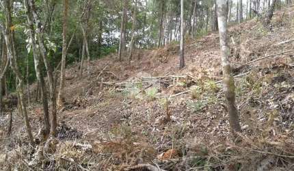 Terreno à venda, 1121 m² por R$ 100.000,00 - Portal das Colinas - Mairiporã/SP