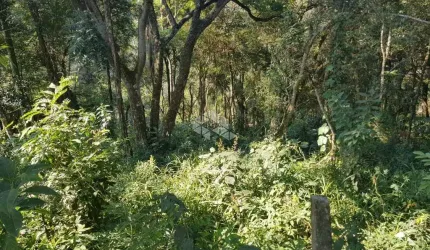 Terreno à venda, 2790 m² por R$ 225.000,00 - Jardim Iporã - Mairiporã/SP