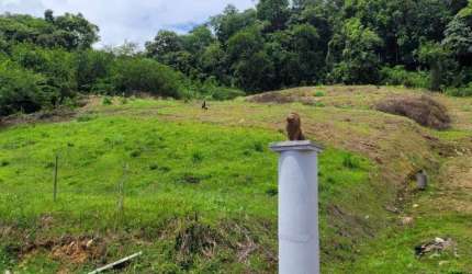 Terreno para Venda em Jaraguá do Sul, Nova Brasilia