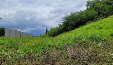 Terreno para Venda em Jaraguá do Sul, Nova Brasilia