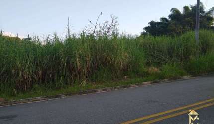Terreno à venda, 5000 m² por R$ 900.000,00 - Una - Taubaté/SP