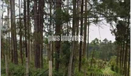 EMBU-GUAÇU - CIPÓ DO MEIO - TERRENO COM 54.330.12M²