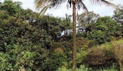 Bairro do Poste - Potencial para investidor - Terreno com 16.000 m²