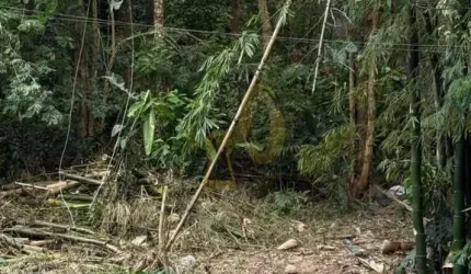 TERRENO NO MORUMBI COM VISTA RUA ARBORIZADA