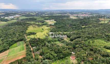 Terreno à venda, 1500 m² por R$ 180.000,00 - Água Espraiada (Caucaia do Alto) - Cotia/SP