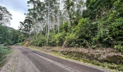 Terreno BENEDITO NOVO - SC