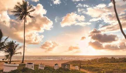 Casa com 1 quarto à venda no Jardim Oceania