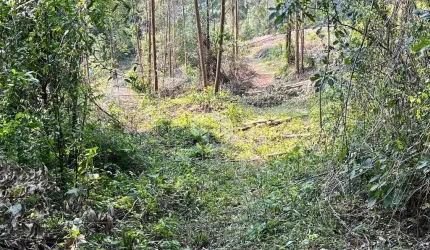Chácara de 3ha à venda por R$ 680.000