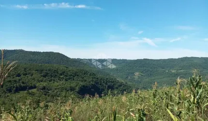 Excelente Chácara na Serra Gaúcha