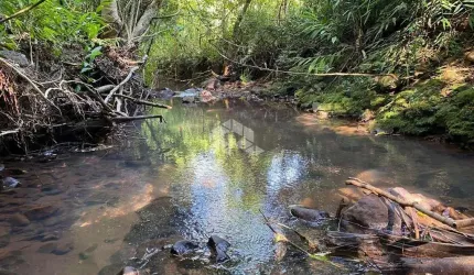 Chácara com açudes e riacho