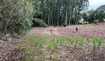 Chácara com riacho