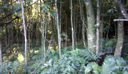 Linda chácara entre Nova Petrópolis e Gramado