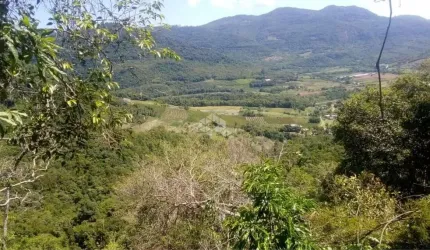 03 Hectares na Linha Pirajá Alta