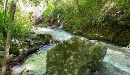 Linda área com Riacho na Serra Gaúcha