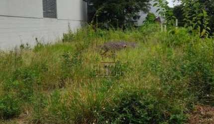 VENDA: Terreno, 264m², Morro do Espelho, São Leopoldo