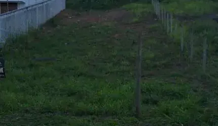 Terreno Lote em São Francisco, Serra/ES