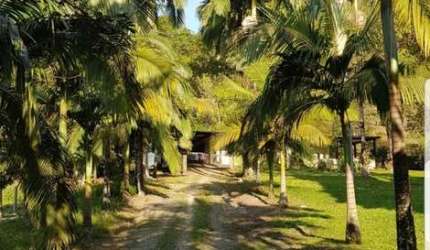 SÍTIO / FAZENDINHA – 9,3 HECTARES DE PURA NATUREZA - RUA SETE BARRAS - NOSSA SENHORA  DO Ó - SP