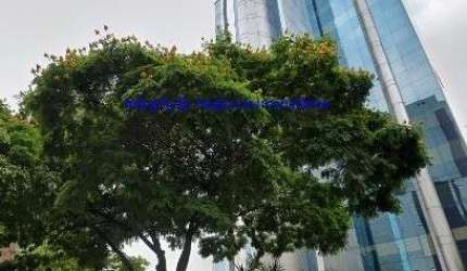 Laje Comercial 533m², copa, 08 banheiros e 12 vagas na garagem.  Condomínio com recepção e segurança 24hrs.  Excelente localização.