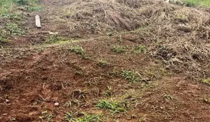 Terreno à venda, 175 m² por R$ 149.000,00 - Laranjeiras - Caieiras/SP