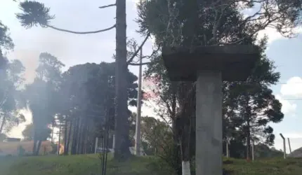 Chácara / sítio à venda na Paraguai, Areia Branca dos Assis, Mandirituba por R$ 119.900