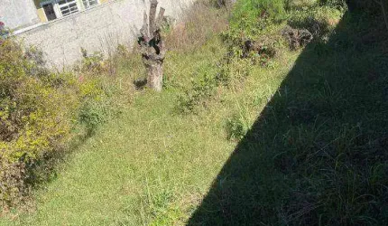 Terreno para alugar, 576 m² por R$ 2.646,12/mês - Lindóia - Curitiba/PR