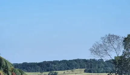 Chácara a Venda na Roseira divisa de Colombo com Campina Grande do Sul