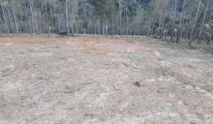 Chácara 10.000 m² na Roseira