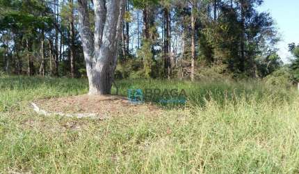Terreno à venda, 1000 m² por R$ 320.000,00 - Recanto Santa Barbara - Jambeiro/SP