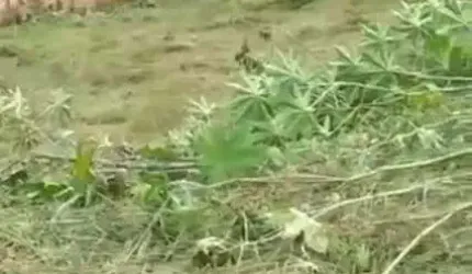 Lote para Venda em Esmeraldas, Novo Retiro