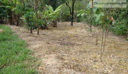 Chácara para Venda em Esmeraldas, Ipe amarelo