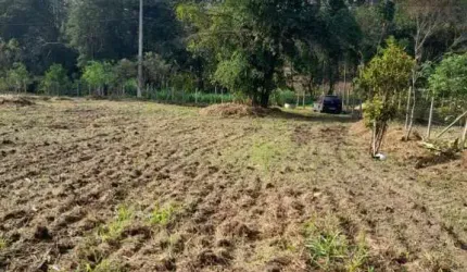 Chácara para Venda em Esmeraldas, Campo Alegre