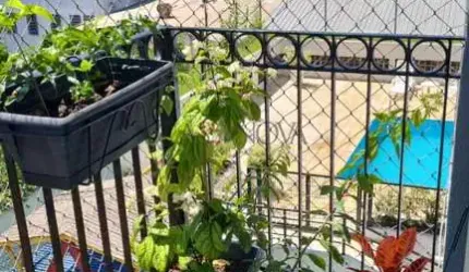 Apartamento com 2 quartos à venda na Rua Doutor Nogueira Martins, 634, Saúde, São Paulo, 60 m2 por R$ 540.000