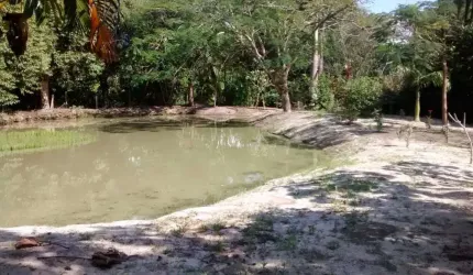 Sítio com 3 dormitórios à venda, 15000 m² por R$ 690.000,00 - Morro Grande - Araruama/RJ