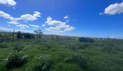 Fazenda à venda, 1258400 m² por R$ 9.500.000,00 - Banqueiros - Araruama/RJ