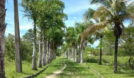 Sítio com 5 dormitórios à venda, 145200 m² por R$ 1.500.000,00 - Clube Engenheiros - Araruama/RJ